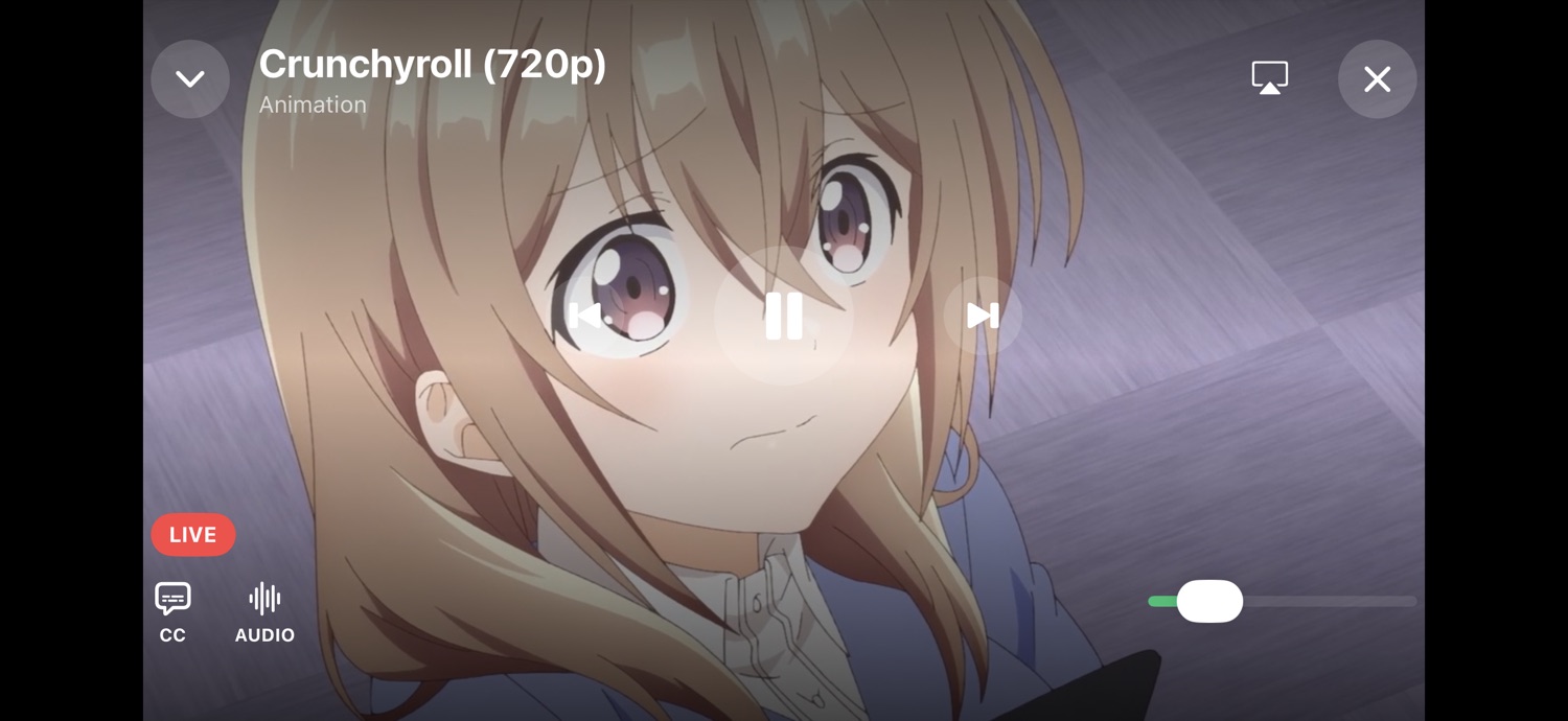 Fullscreen landscape player with subtitle, audio-track and volume controls